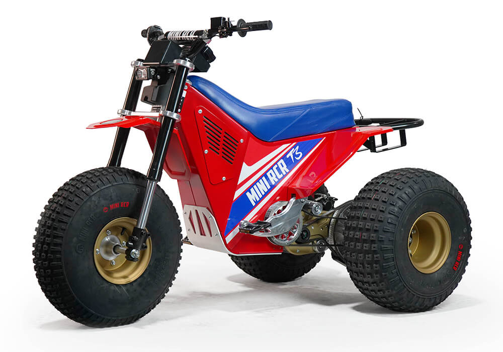 Mini Razor 250 MINI RCR T3 - 250R Special Edition