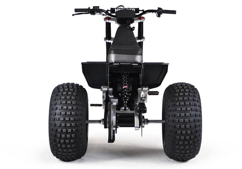MINI RCR T3 - Black with Black Carbon Fenders