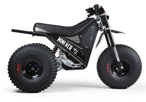 MINI RCR T3 - Black with Black Carbon Fenders