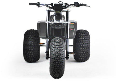 MINI RCR T3 - Black with Black Carbon Fenders