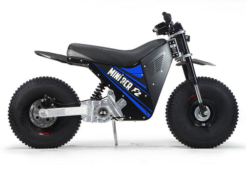 MINI RCR F2 - Blue with Black Carbon Fenders