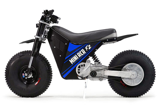 MINI RCR F2 - Blue with Black Carbon Fenders
