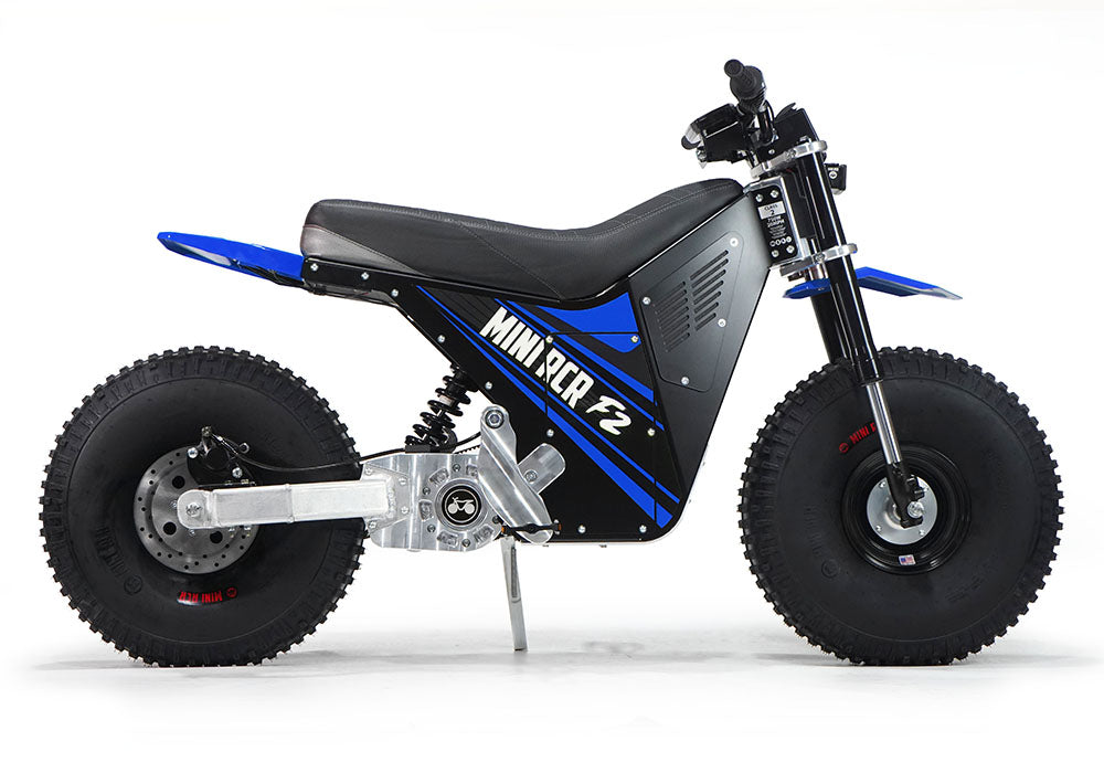 MINI RCR F2 - Blue with Blue Fenders