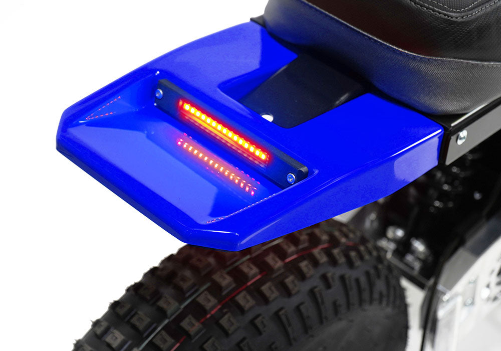 MINI RCR F2 - Blue with Blue Fenders