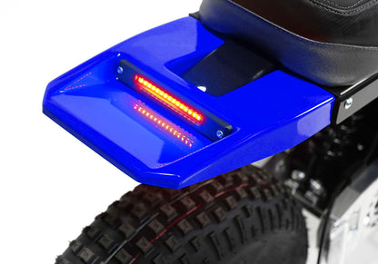 MINI RCR F2 - Blue with Blue Fenders