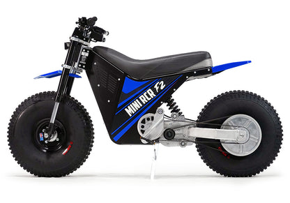 MINI RCR F2 - Blue with Blue Fenders