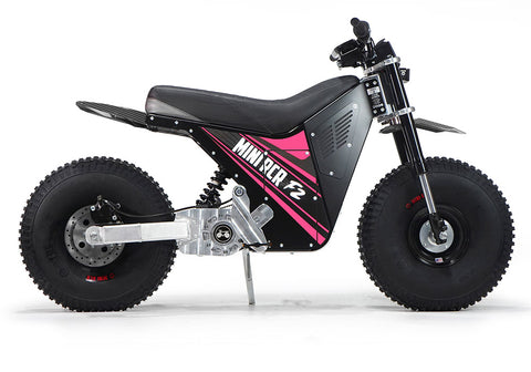 MINI RCR F2 - Pink with Black Carbon Fenders