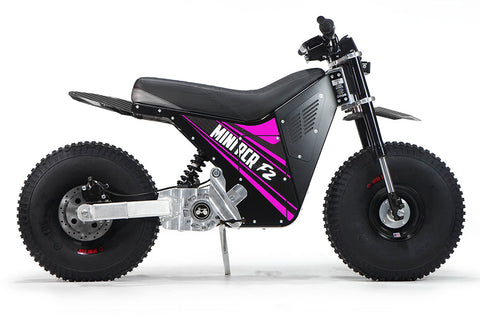 MINI RCR F2 - Pink with Black Carbon Fenders