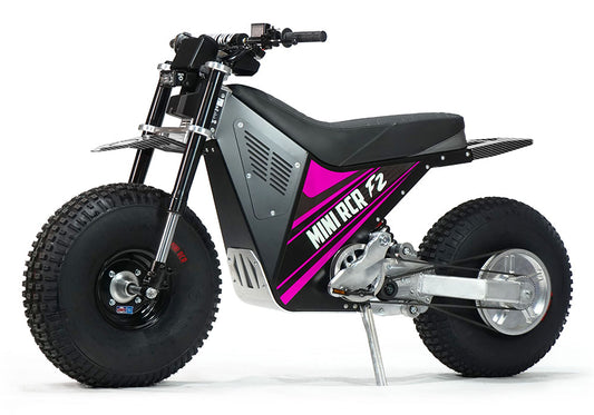 MINI RCR F2 - Pink with Black Carbon Fenders