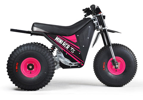 MINI RCR T3 - Pink with Black Carbon Fenders (Special Edition)