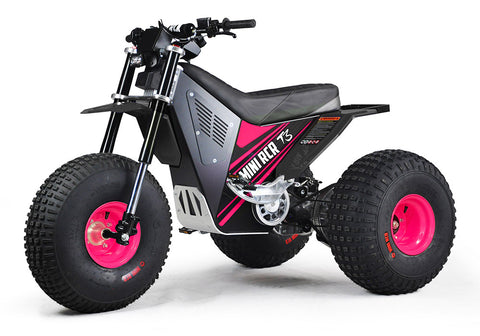 MINI RCR T3 - Pink with Black Carbon Fenders (Special Edition)