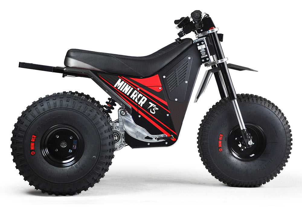 MINI RCR T3 - Red with Black Carbon Fenders