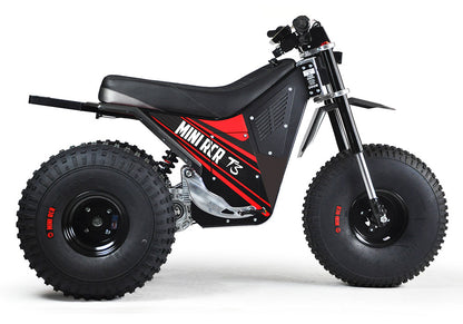 MINI RCR T3 - Red with Black Carbon Fenders