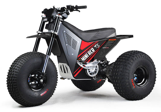 MINI RCR T3 - Red with Black Carbon Fenders