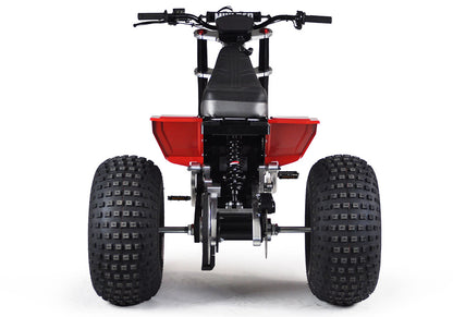 MINI RCR T3 - Red with Red Fenders
