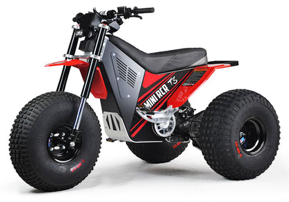 MINI RCR T3 - Red with Red Fenders