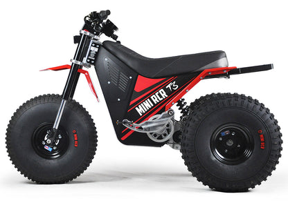 MINI RCR T3 - Red with Red Fenders